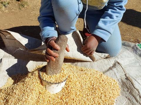 Lesotho Declares food insecurity crisis 